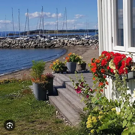 Nydelige Omgivelser I Apartment